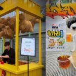 하림펫푸드, 용가리 팝업스토어에 반려견 동반 방문 시 ‘멍치맥세트’ 전원 제공