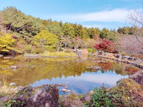 제주 단풍명소 가볼만한곳 가을여행지 3곳 (한라생태숲, 천왕사, 삼다수숲길)
