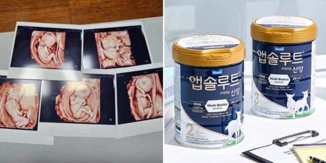 출산 장려에 진심인 ‘매일유업’… 국내 최초 자연임신 ‘다섯쌍둥이’에게 1년 동안 분유 지원