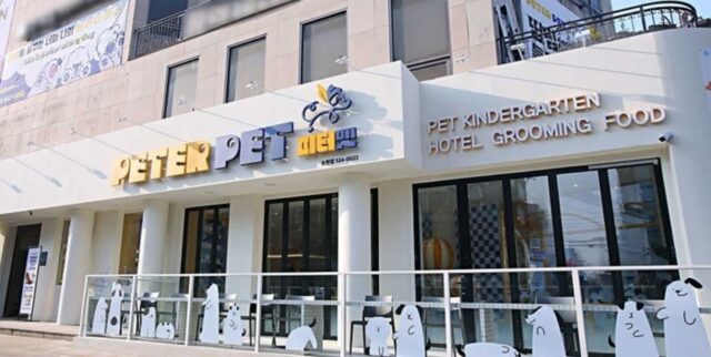 “우리집 초코 데리고 가자!”… 댕댕이들 모여 뛰어 노는 가을 운동회 열린다