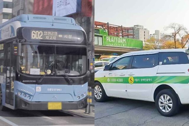 “운전면허 반납 안한다” 비수도권, 진짜 3배나 손해보고 있었다!