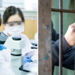 6년간 정부 속여 ‘국가보조금 30억’ 타내 빼돌린 연구소장의 끔찍한 최후