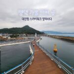 영덕 가볼 만한 곳 대진항 스카이워크 영덕바다