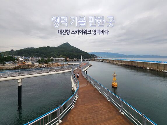영덕 가볼 만한 곳 대진항 스카이워크 영덕바다