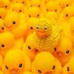 ‘이게 왜 여기서 나와?’ 크루즈 탑승객 열광하는 독특한 트렌드 화제