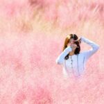“지금이 절정인 가을꽃” 분홍분홍 감성 한가득 핑크 뮬리 명소 추천 BEST 4