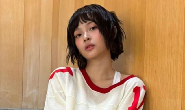 뉴진스 하니 “국정감사 출석” 소속사와 상의 없이 선언한 이유는?