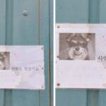 “도둑님! 우리집에 무시무시한 경비견 있으니까 함부로 들어오지 마세요”…섬뜩한 경고문