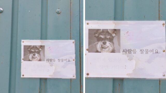 “도둑님! 우리집에 무시무시한 경비견 있으니까 함부로 들어오지 마세요”…섬뜩한 경고문