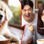 “죽 먹으면서 국에 말아먹고 있는데, ‘개밥’ 먹냐는 남친… 따지니 ‘장난’이라네요”