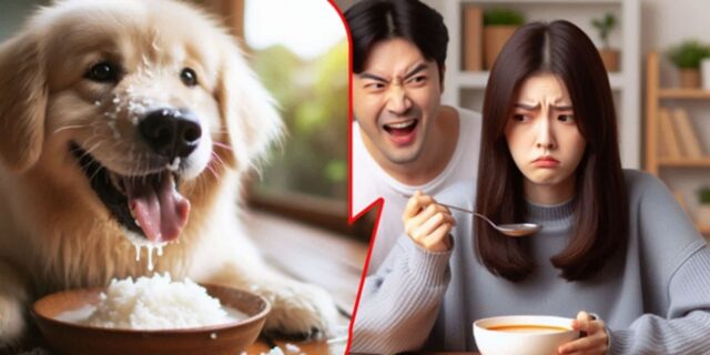 “죽 먹으면서 국에 말아먹고 있는데, ‘개밥’ 먹냐는 남친… 따지니 ‘장난’이라네요”