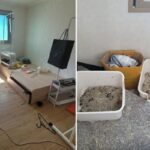 ‘고양이 6마리’ 몰래 키우고 중도퇴거한 커플 세입자가 남겨놓은 ‘풀옵션’ 방 상태 (사진)