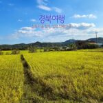 경북여행 전통마을 탐방 영덕 인량마을