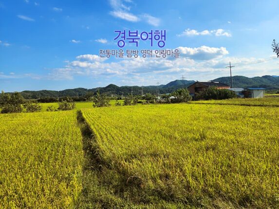 경북여행 전통마을 탐방 영덕 인량마을