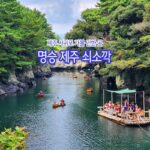 제주 서귀포 가볼 만한 곳 명승 제주 쇠소깍