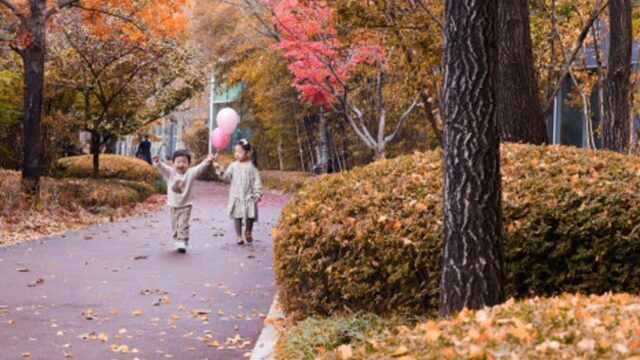 ‘단풍’ ‘식도락’ ‘문화’ 당신의 올가을 추(秋)구미는 무엇인가요