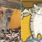 유명한 고양이 사진들을 짤로 그렸을 뿐인데 대박이라는 고양이 일러스트 그림