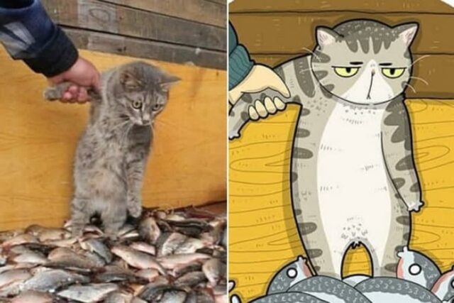 유명한 고양이 사진들을 짤로 그렸을 뿐인데 대박이라는 고양이 일러스트 그림