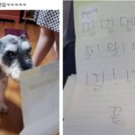 “군대 간 남동생 힘들까봐 걱정했는데 강아지에게 쓴 편지 보고 너무 어이없었어요”