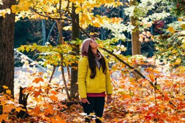 ‘가을산, 주의사항’ 단풍을 안전하게 즐길 수 있는 가을 등산 준비물(+등산 꿀팁