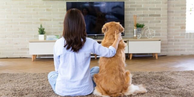 외신, 한국을 “가장 외로운 나라 중 하나”로 꼽았다… 이유 살펴보니