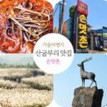 제주 산굼부리 맛집 손맛이 좋아 손맛촌 가을여행지