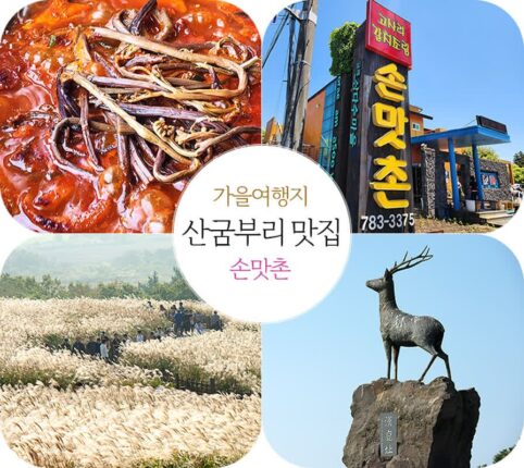 제주 산굼부리 맛집 손맛이 좋아 손맛촌 가을여행지