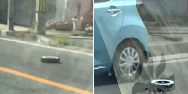 집 청소만 하기 지겨웠나… 가출해 도로 치우고 다니는 ‘로봇 청소기’