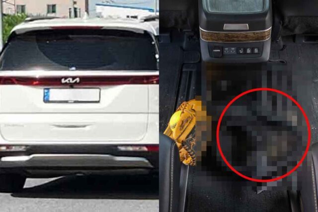 “아빠들 대환호” 진공청소기에 냉장고, 그럼 스타일러도 탑재해라 난리!