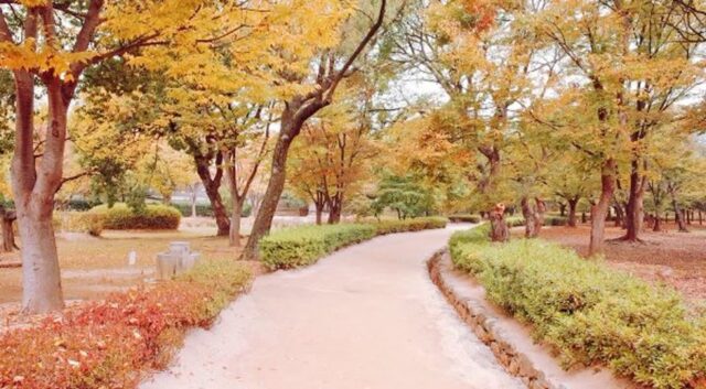 김해 가볼만한곳 단풍명소 가을여행지 3곳(수로왕릉, 봉황대공원, 연지공원)