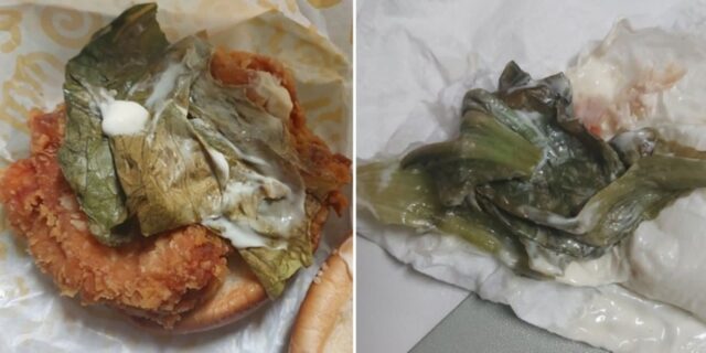 “햄버거 양배추 시래기인 줄”… 리뷰 남겼다가 ‘명예훼손’으로 게시 차단된 손님