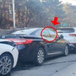 “고양이 구하려고” 1차선 정차했는데 사고는 뒷차 책임?