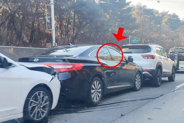 “고양이 구하려고” 1차선 정차했는데 사고는 뒷차 책임?
