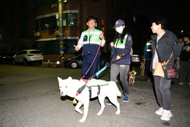 이민근 안산시장, 반려견 ‘아큼’과 반려견 순찰대 야간 합동 순찰 나서