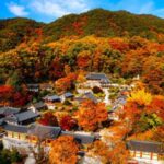 “가을 가볼 만한 곳, 인생 여행지 추천” 찾는 모두가 극찬한 가을 여행지 BEST 5