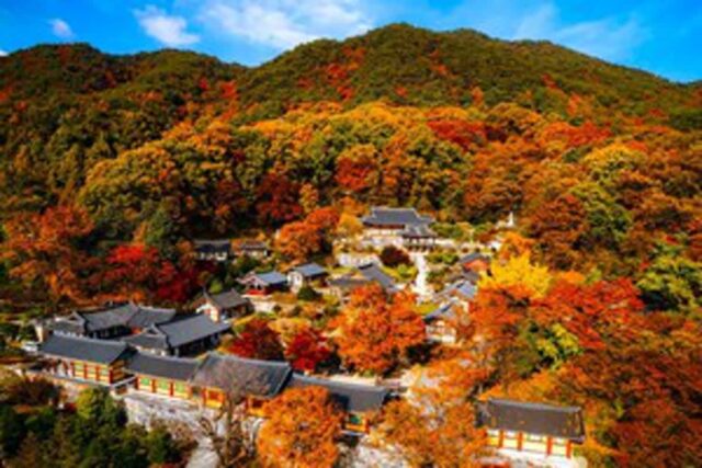 “가을 가볼 만한 곳, 인생 여행지 추천” 찾는 모두가 극찬한 가을 여행지 BEST 5