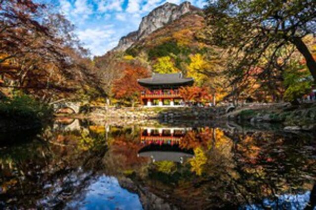 ‘10월 가을 여행지 추천’ 내장산 단풍을 중심으로 정읍 갈만 한곳 둘러보기