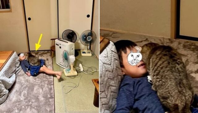 목욕하자고 계속 부르는데 아들이 나타나지 않아 가봤더니 ‘아빠가 마주한 상황’