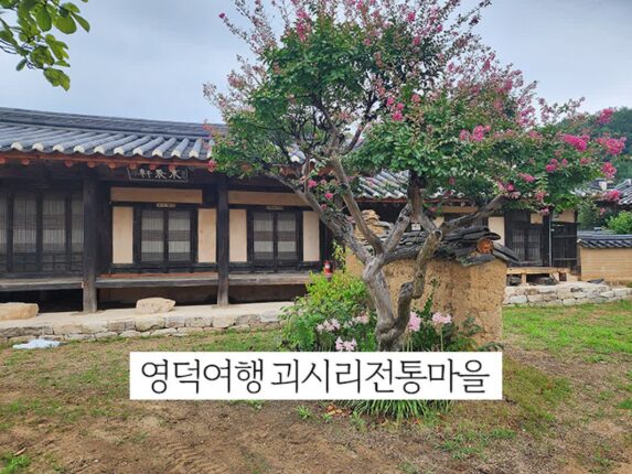 영덕 여행 괴시리 전통마을