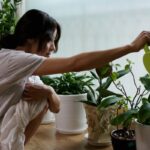주말 극장서 다시 보는…한강의 소설 원작 영화 ‘채식주의자’ ‘흉터’