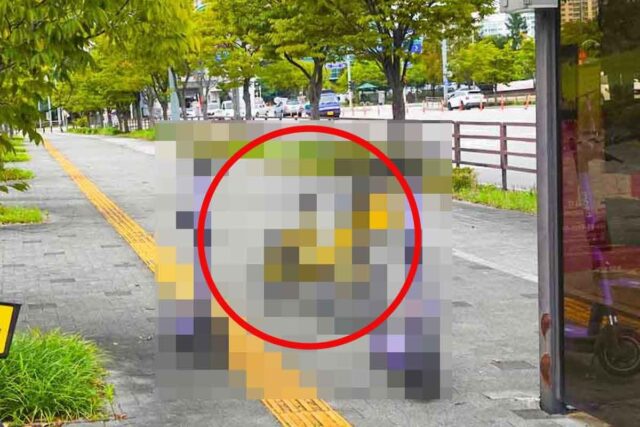 “사실이면 업계 멸망” 서울시민 5000명, 강제 견인 논란