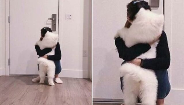 “음식물 쓰레기 버리고 왔는데 댕댕이가 울먹이길래 바로 안아줬어요”