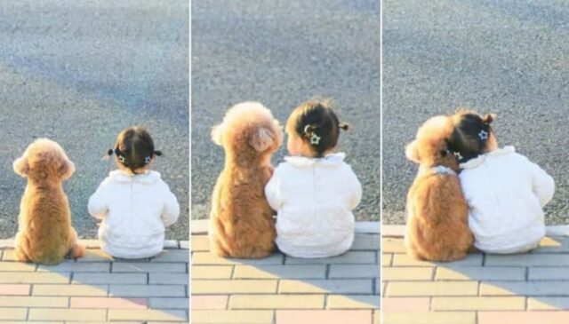 “요즘 애들 정말 빠르네요”…딸이 강아지 만난지 5분도 안돼 머리 기대자 괜히 서운해진 아빠