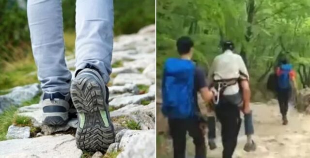 “업고 내려오면 두 발로 멀쩡히 걸어서 귀가”… 힘들다며 산악구조대 부르는 민폐 등산객들