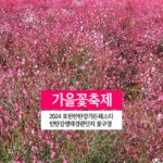 가을꽃축제 2024 포천한탄강가든페스타 한탄강생태경관단지 꽃구경
