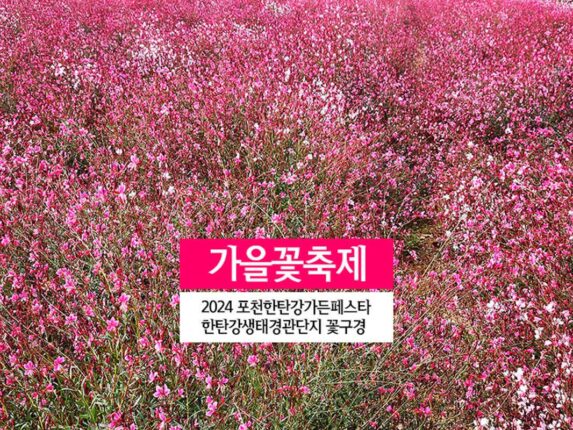 가을꽃축제 2024 포천한탄강가든페스타 한탄강생태경관단지 꽃구경