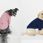 BYC, 반려견 겨울 패션의 완성 ’24FW 개리야스’ 신제품 출시