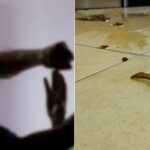 병실서 술마시고 의사에게 맥주 뿌린 50대 남성 결국…