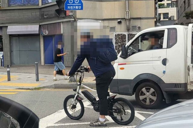 “자라니 기승 시즌!” 운전자들 짜증나게 하는 1티어가 온다