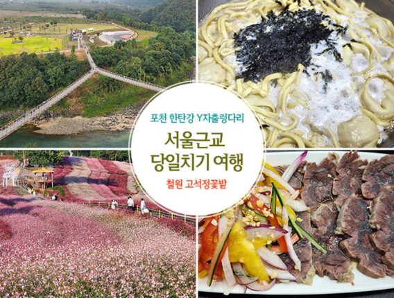 서울근교 당일치기 여행 포천 한탄강 Y자 출렁다리 철원 고석정 꽃밭